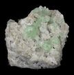 Sea Green Fluorite on Bed Of Quartz - China #32489-3